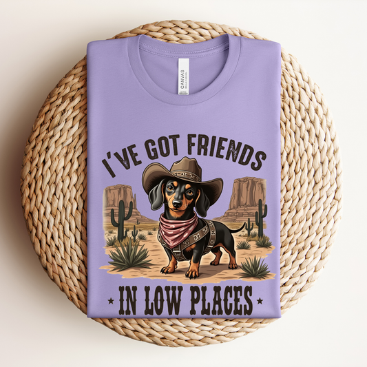 Funny Weiner Dog Shirt