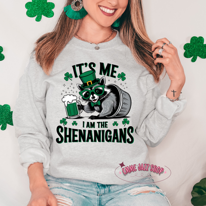 Funny St. Patricks Day T-shirt or Sweatshirt